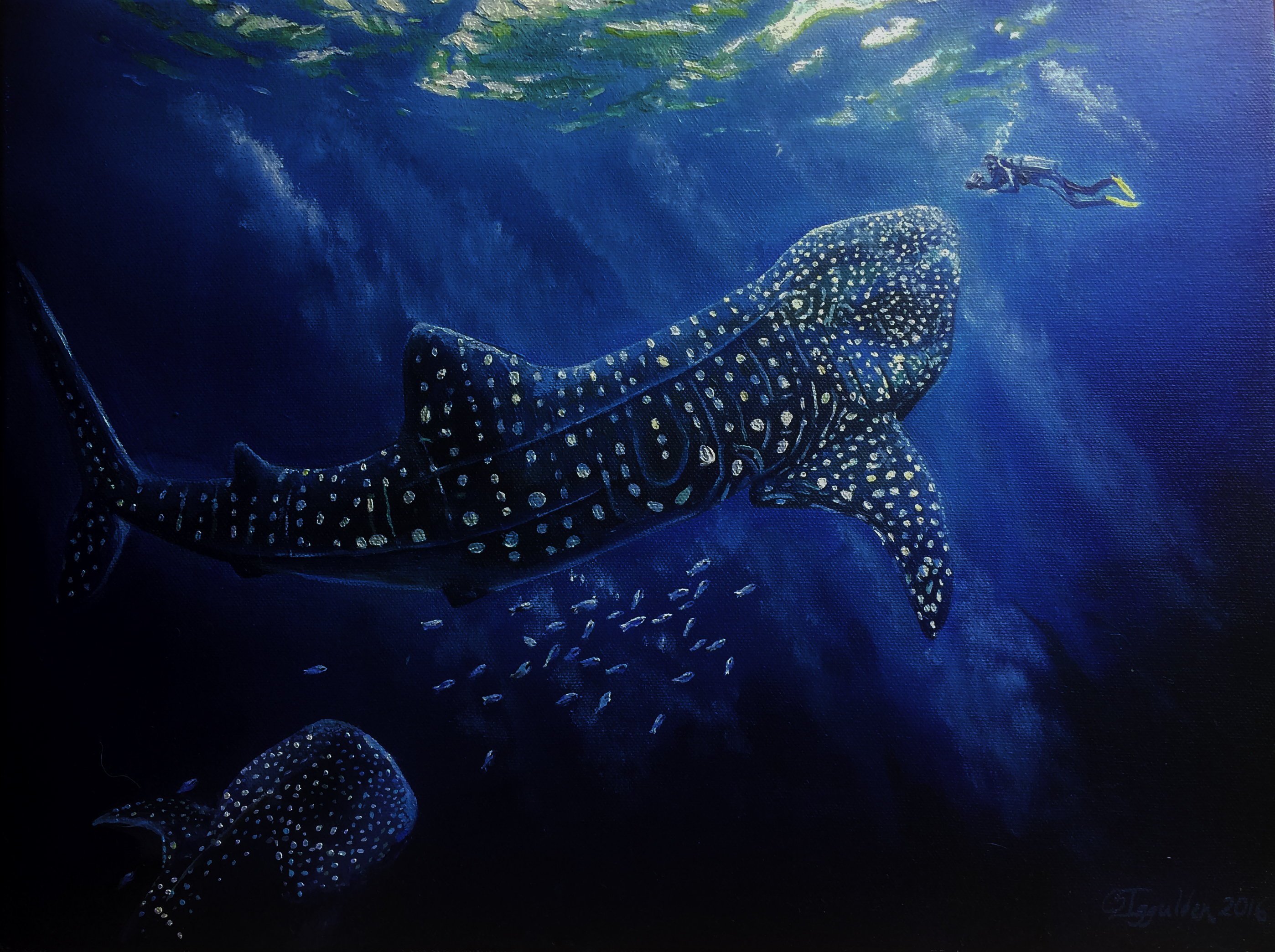 Whale Sharks: Giants of the Ocean